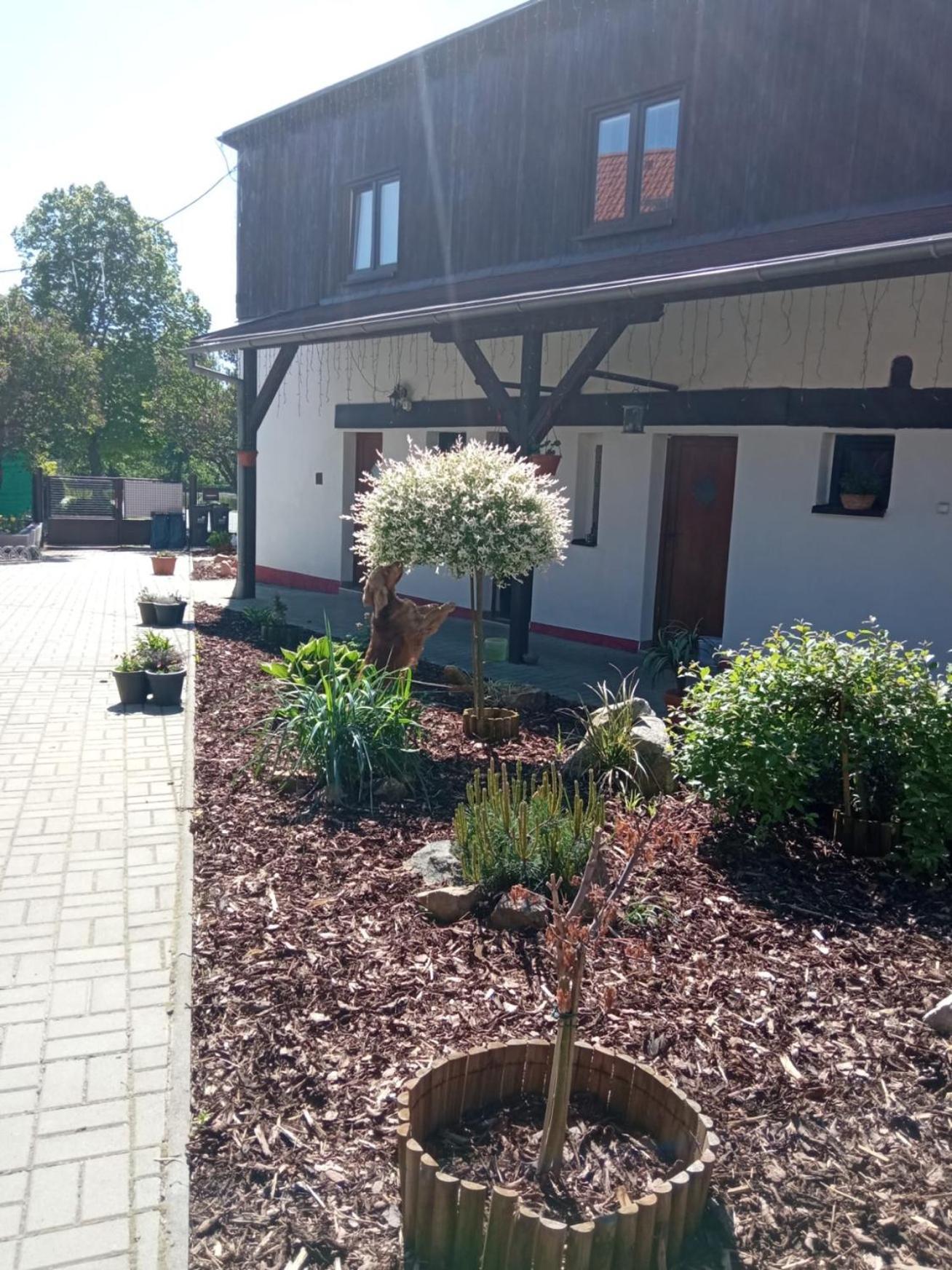 Penzion Dagmar Kokasice Exterior foto